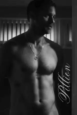 Постер к фильму "Седло" #516136