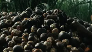 Задник к фильму "" #685532