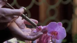 Задник к фильму "Секретарша" #718473