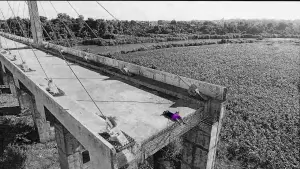 Задник к фильму "" #744591