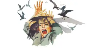 Задник к фильму "Птицы" #677214