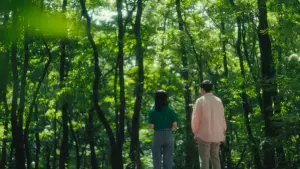 Задник к фильму "여름의 카메라" #829887