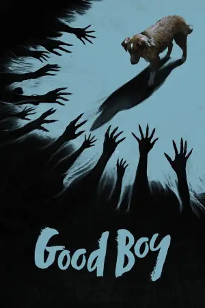 Постер к фильму "Хороший мальчик" #517351