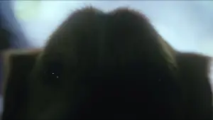 Задник к фильму "Хороший мальчик" #517219