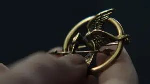 Задник к фильму "Голодные игры: И вспыхнет пламя" #625139