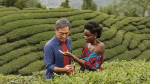 Задник к фильму "" #366361