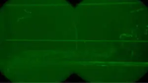 Задник к фильму "Парк Юрского периода" #598161