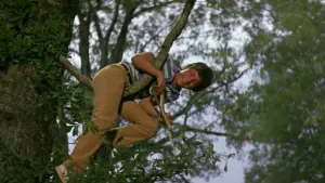 Задник к фильму "Серебряная пуля" #280913