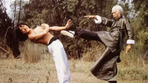 Задник к фильму "Бесстрашная гиена" #382335