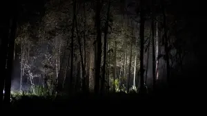 Задник к фильму "Город тайн: Исчезнувшая" #430470