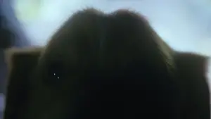 Задник к фильму "Хороший мальчик" #517229