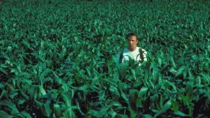 Задник к фильму "Поле чудес" #719584