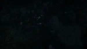 Задник к фильму "Годзилла" #613084