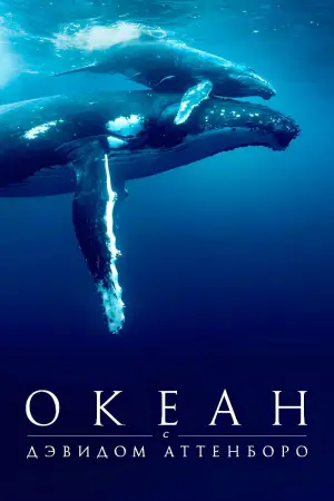 Постер к фильму "Океан с Дэвидом Аттенборо" #617880
