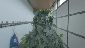 Задник к фильму "" #722605