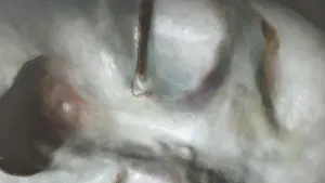 Задник к фильму "Девушка, которая плакала жемчугом" #583879