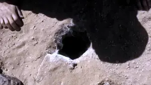 Задник к фильму "Паутина страха" #190657