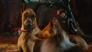 Задник к фильму "Мармадюк" #616775