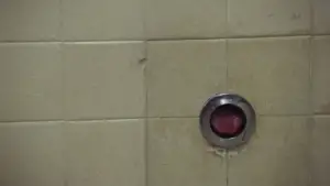 Задник к фильму "Порки" #693558