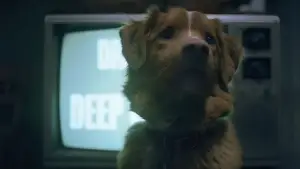 Задник к фильму "Хороший мальчик" #517157