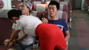 Задник к фильму "Восхитительный полет" #315587