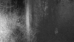 Задник к фильму "" #449269