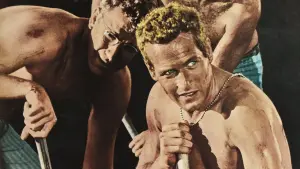 Задник к фильму "Хладнокровный Люк" #188454