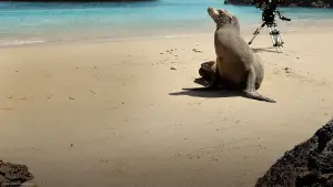 Задник к фильму "" #720067