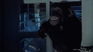 Задник к фильму "Феномен" #262593