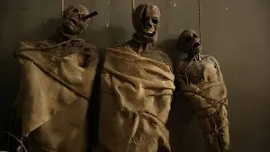 Задник к фильму "Гость" #417875