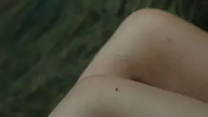 Задник к фильму "Год вдовы" #730348