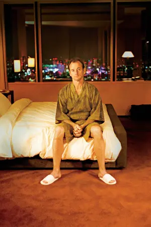 Постер к фильму "Трудности перевода" #219383