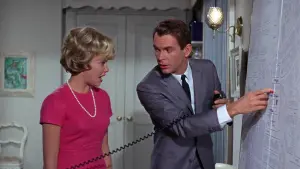 Задник к фильму "Эта дикая кошка" #401060