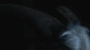 Задник к фильму "" #427277