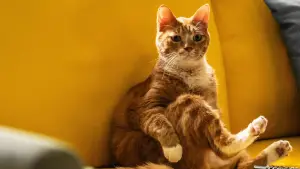 Задник к фильму "Моя дочь – зомби" #569072