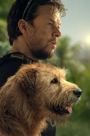 Постер к фильму "" #434564