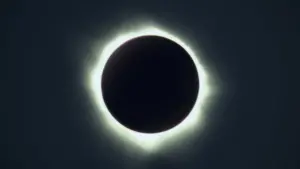 Задник к фильму "Тёмные очки" #393818