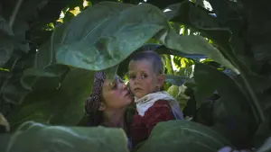 Задник к фильму "Счастливый Лазарь" #219225