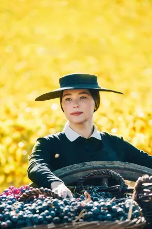 Постер к фильму "Мадам Клико" #667529