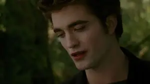 Задник к фильму "Сумерки. Сага: Новолуние" #519840