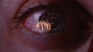 Задник к фильму "Человек-паук" #550132