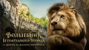 Задник к фильму "Волшебник Изумрудного города. Дорога из жёлтого кирпича" #536057