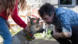 Задник к фильму "Мой волк" #237529