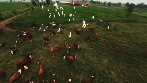Задник к фильму "MARANDANG" #844002
