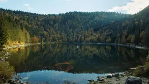 Задник к фильму "Жизненная необходимость" #705210