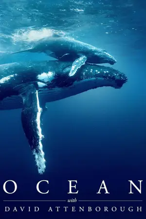 Постер к фильму "Океан с Дэвидом Аттенборо" #617845