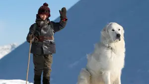 Задник к фильму "Белль и Себастьян" #252209