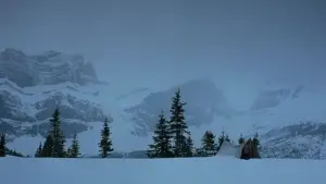 Задник к фильму "Горбатая гора" #520866