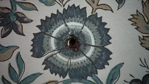 Задник к фильму "Психо 2" #379305