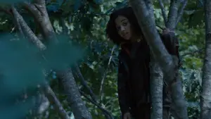 Задник к фильму "Голодные игры" #603204